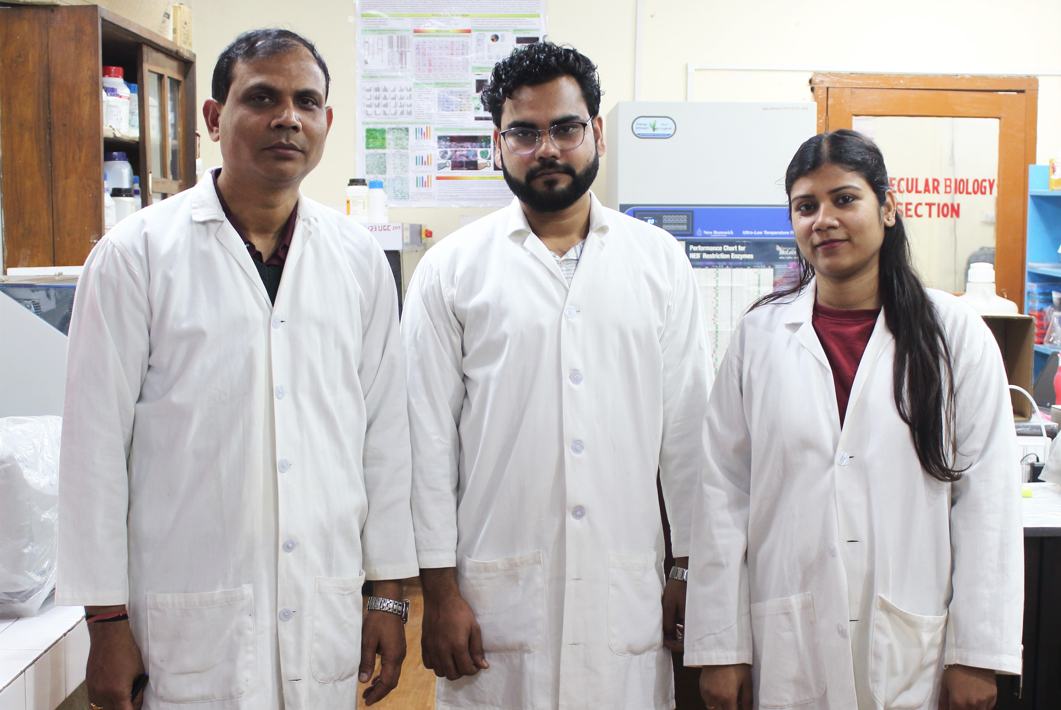 Breakthrough finding by BHU Researchers regarding photosynthetic process being affected by heavy metal toxicity | Campusvarta